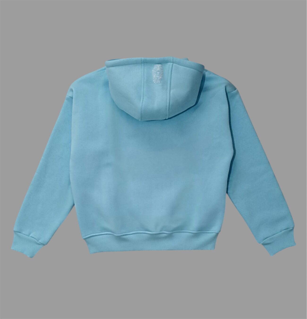 Babyblue Hoodie - Görsel 2